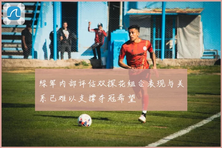绿军内部评估双探花组合表现与关系已难以支撑夺冠希望